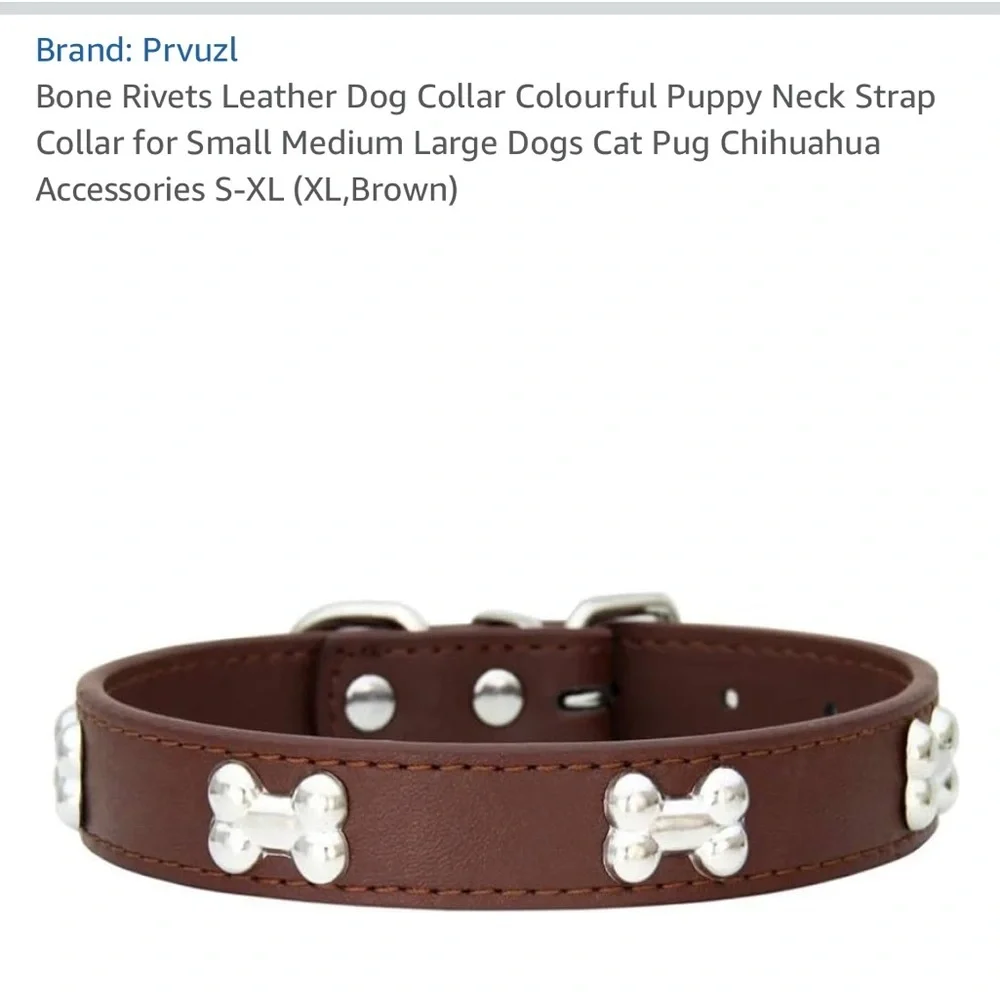 Brown Dog Collar with Silver Bone Accents